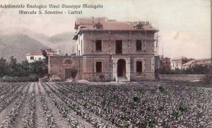 Stabilimento enologico e vivai di Giuseppe Malagola di Curteri. Stabilimento enologico e vivai di Giuseppe Malagola di Curteri.