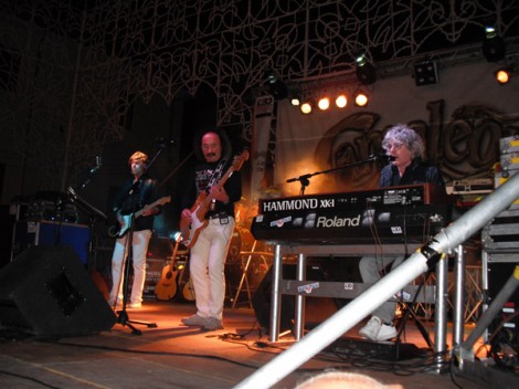 I Camaleonti in concerto