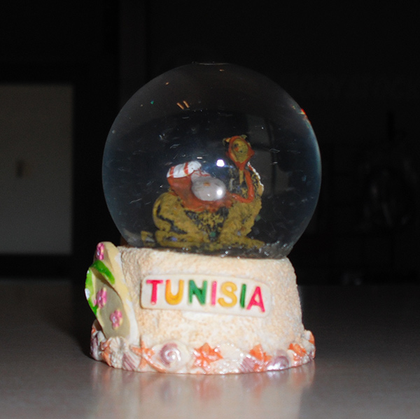 palla-tunisia2