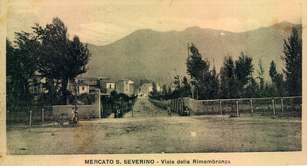 sansever9