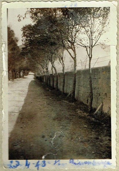 viale-rimembranza