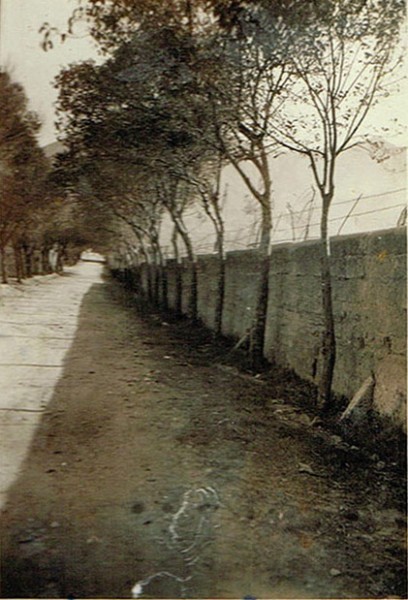 viale-rimembranza