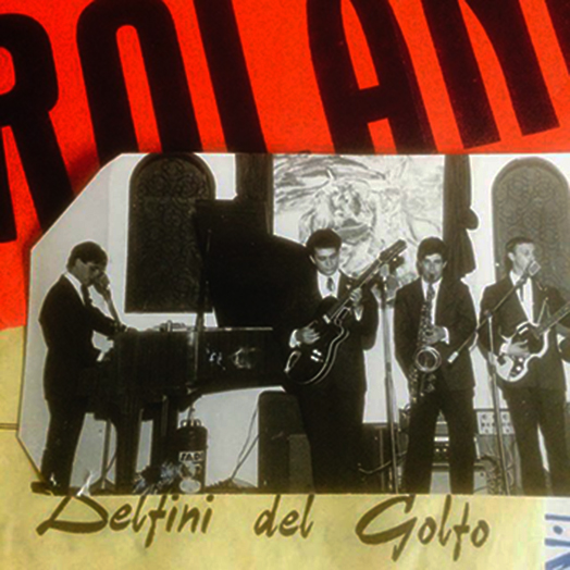 delfinidelgolfo2