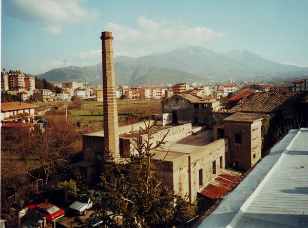 mulinoridotta2