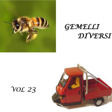 Ventitreesima compilation "virtuale" di Gemelli diversi.