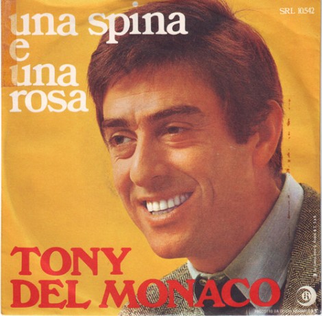 45 giri "Una spina e una rosa"